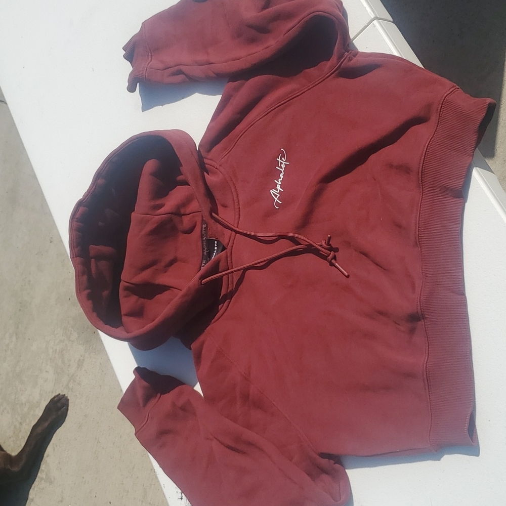 Alphalete cropped hoodie